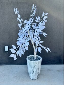 Tall white plant