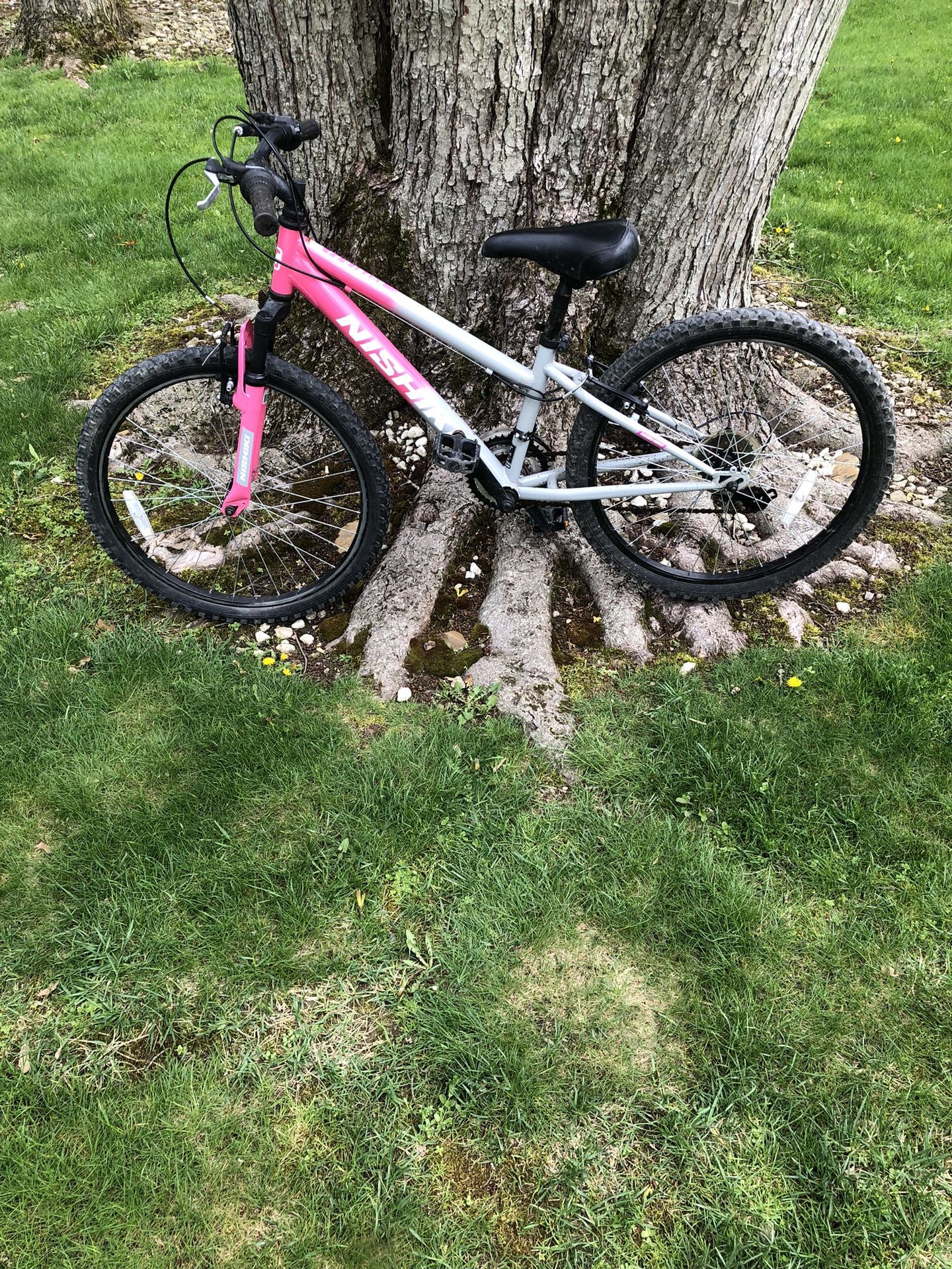 24” Nishiki Mountain Bike