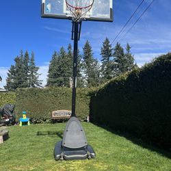 Basketball Hoop 