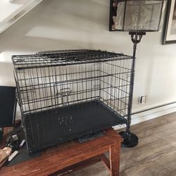 Large Dog Cage Brand New Good Deal 50.00 Firm