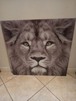 Glass Lion Picture 40 x 40 Tan/black and  cream Tones.  Mint Condition