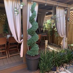 Nearly Natural Rosemary Spiral  