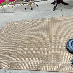 Indoor/outdoor Area Rug