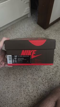 Travis Scott Jordan 1s