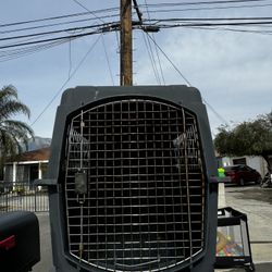 Dog Kennel