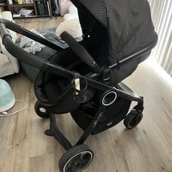 Bassist Stroller 