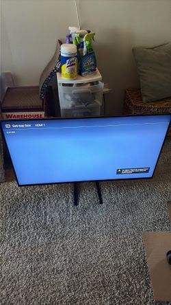 Sony 43 inch tv