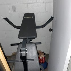 Workout Bench + Leg Curl Extension 