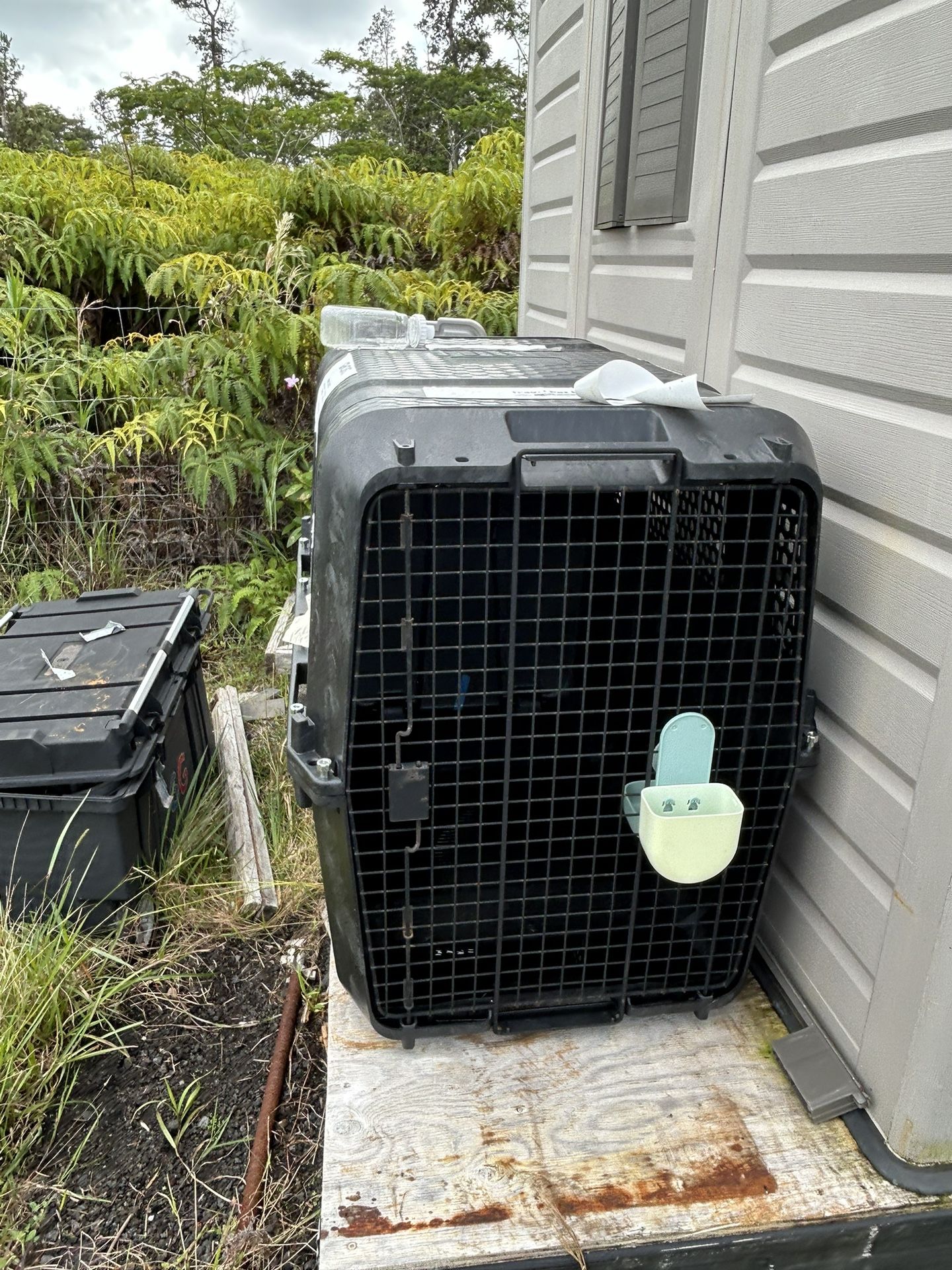 Large Dog Kennel