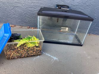 10 Gallon Fish tank and filter