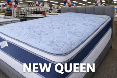 🟢BRAND NEW QUEEN SET $219