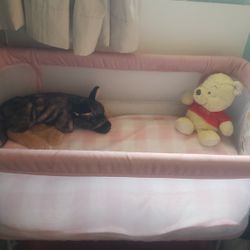 Bassinet Bed Side Sleeper 