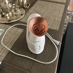 Face Steamer