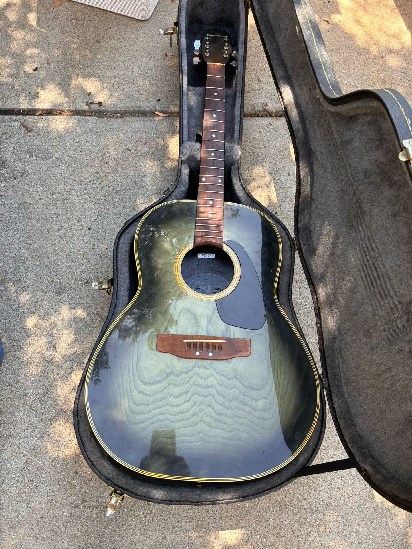 Applause AA-31 Acoustic Guitar And Case