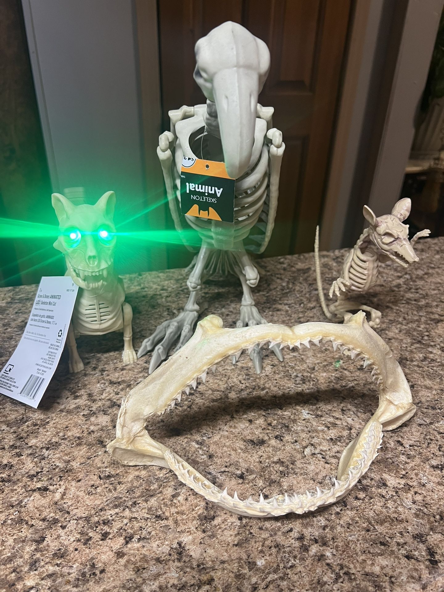 Shark Jaws And More