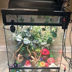 Front Opening 30 Gallon Rough Green Snake Reptile Tank