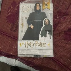 snape figurine 