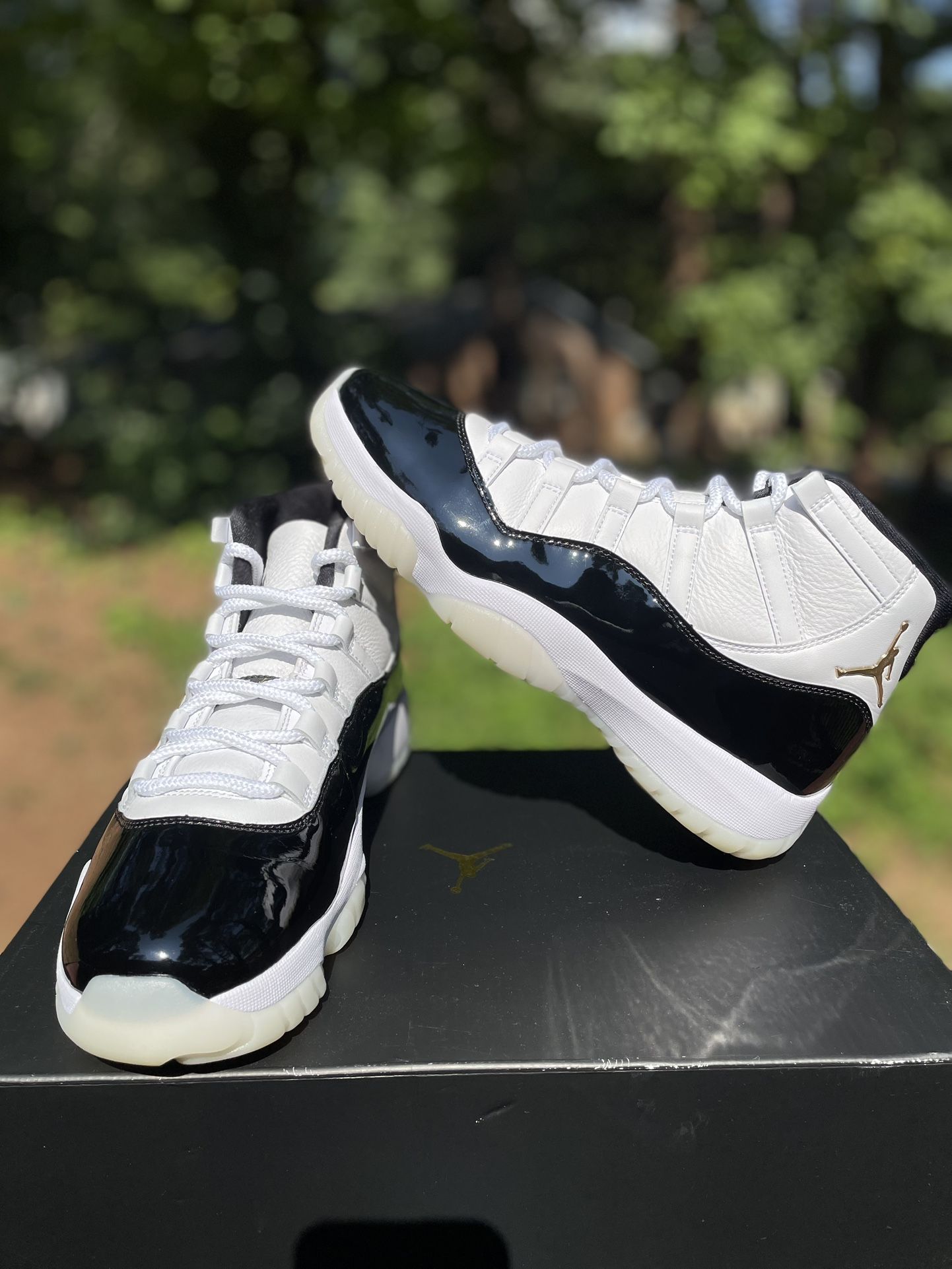 Jordan 11 Gratitudes Size 10