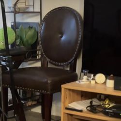 Dark Brown Leather Solid Chair