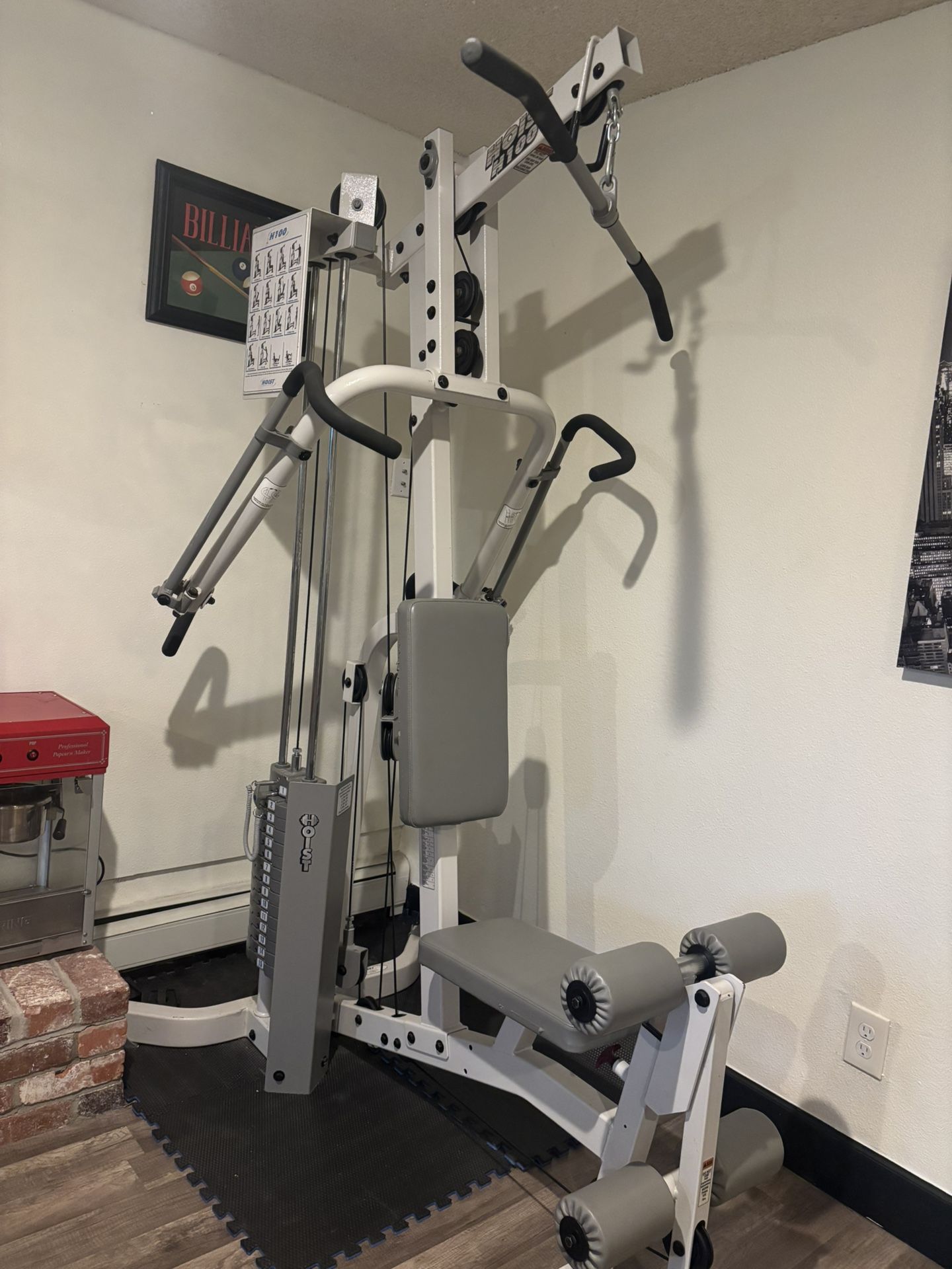 Gym Hoist 100