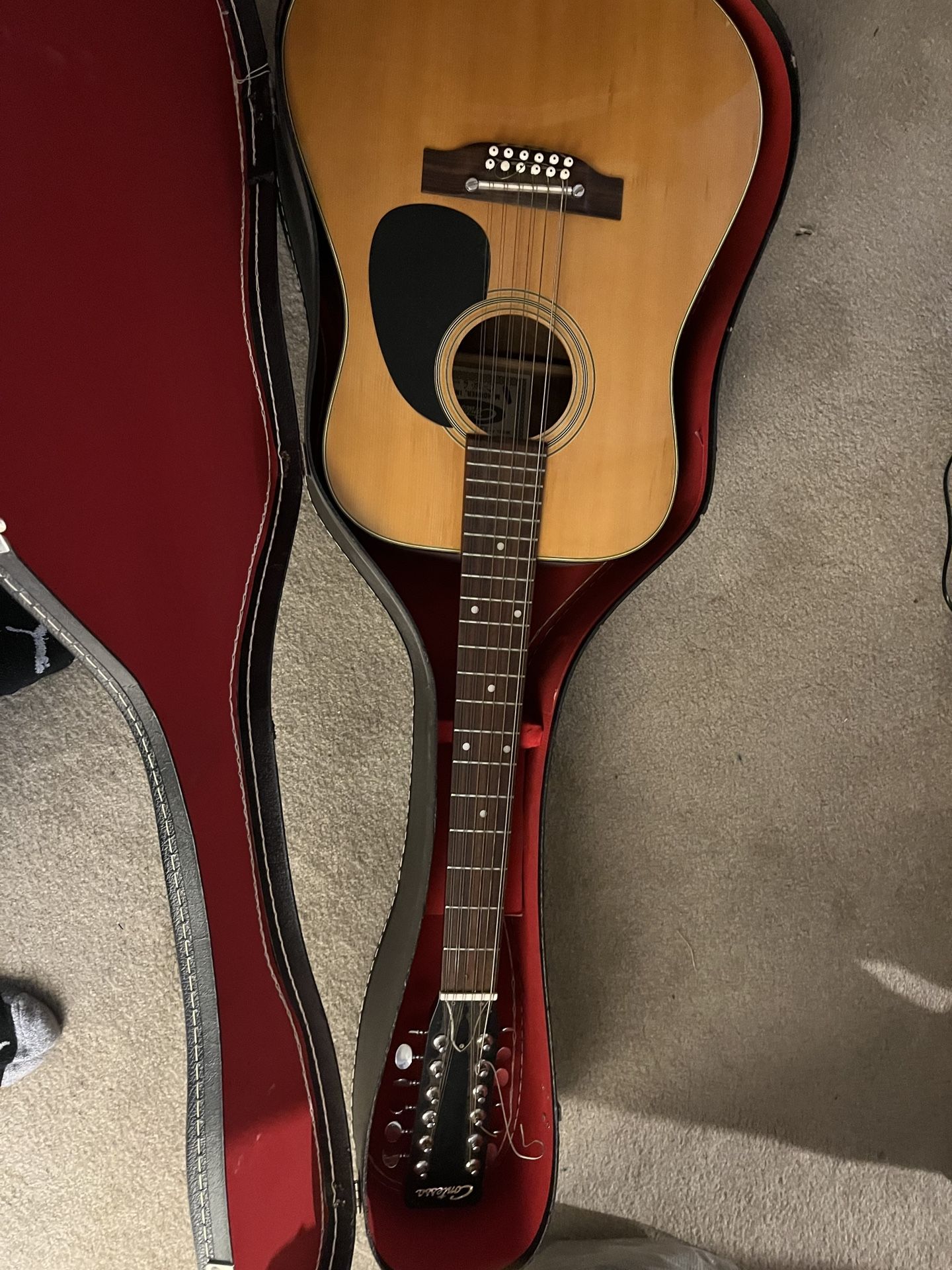 GUITAR: Contessa 12 String Acoustic Guitar & TGI Hardcase
