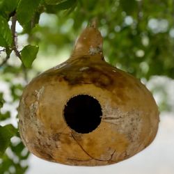 Gourd Birdhouses