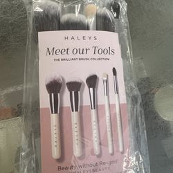 Haleys 5 Pc Set Makeup Brush