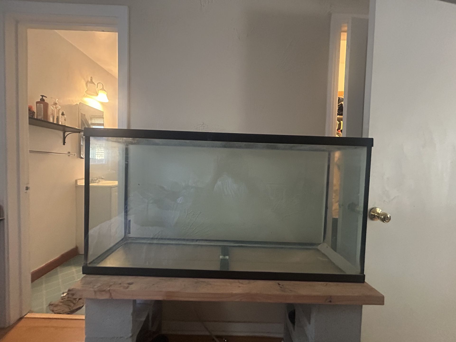 60 Gallon Fish Tank