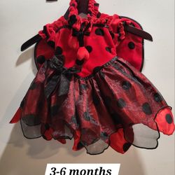 Ladybag Costume Dress 