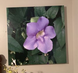 Flower Picture On Canvas
