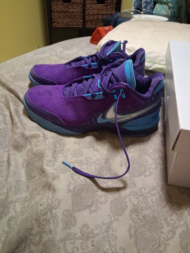LeBron Size 10.5