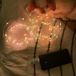 Color Changing String Lights