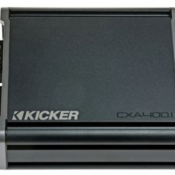 Class D Digital Mono Amplifier with Variable Low-Pass Crossover - Black
Model:46CXA4001