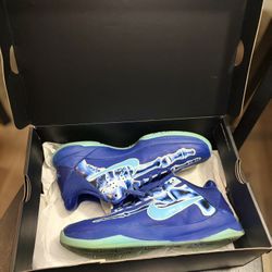 Nike Kobe V Protro blue XRAY