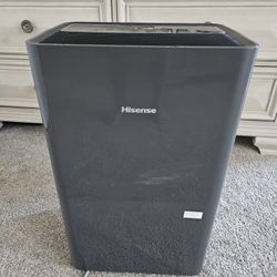 Hisense Dehumidifier 