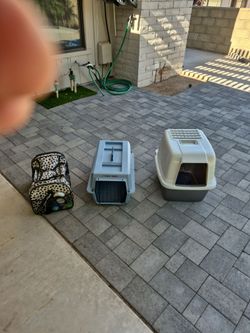 Pets