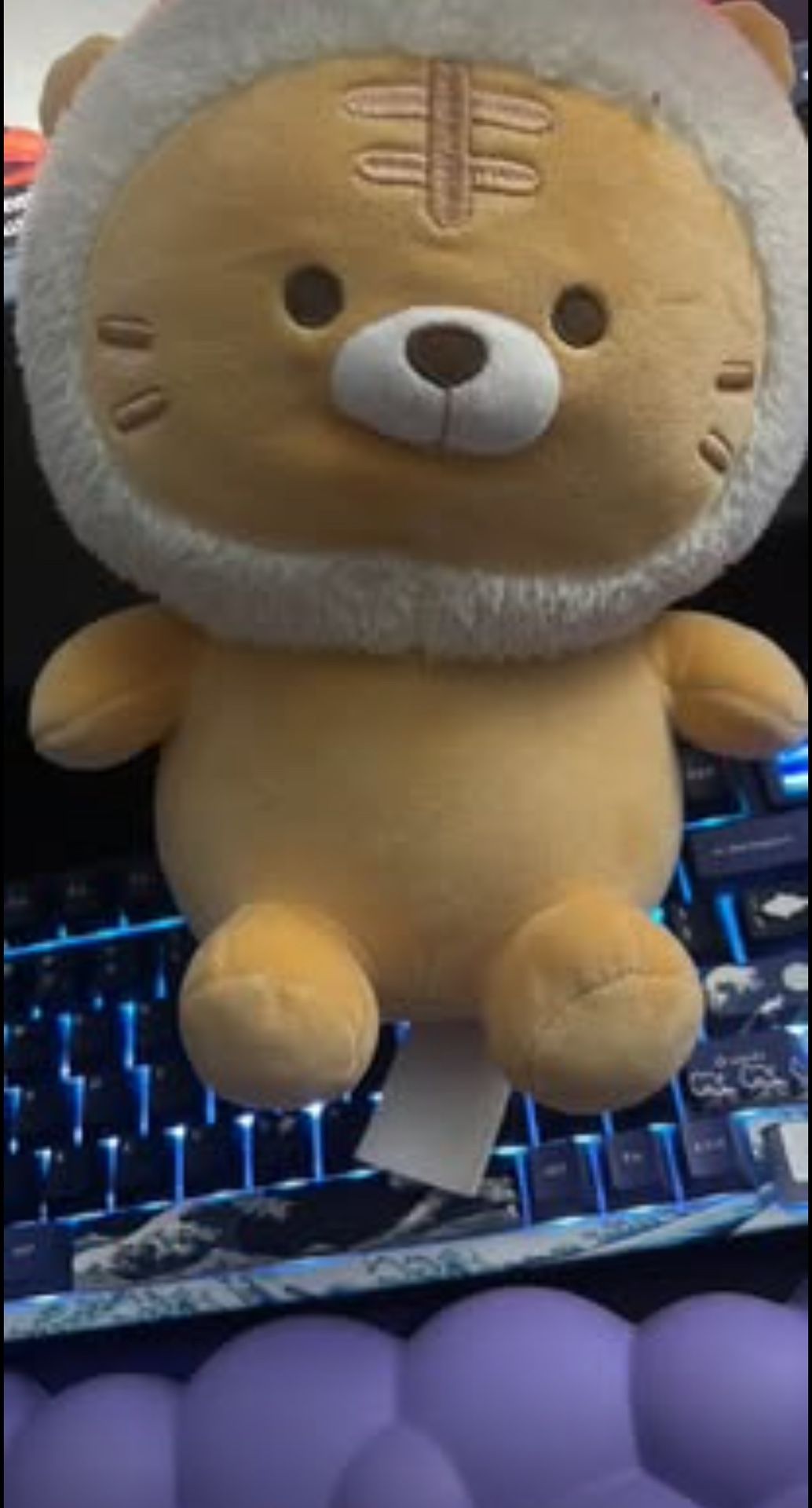 Miniso Plushie