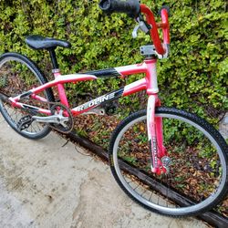 20" Redline Bike 
