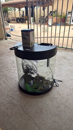 10 Gallon Fish Tank