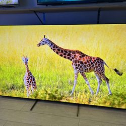 Sony 77-inch XR-77A95L oled tv 
