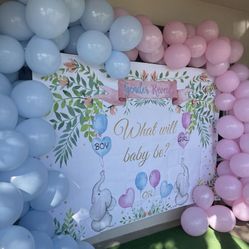 Gender Reveal Backdrop