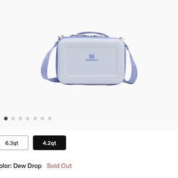 Stanley mini lunch box