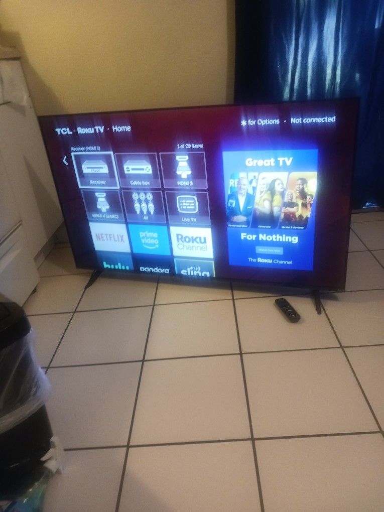 TV With Its Control