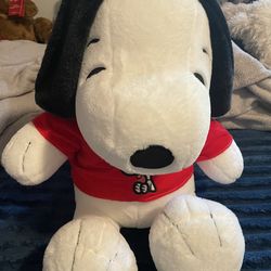 Snoopy stuffed animal
