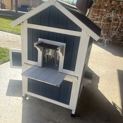 Cat House 
