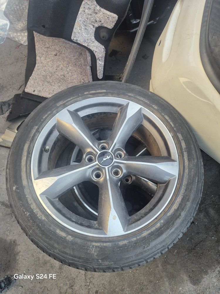 Mustang Rims And Tires
