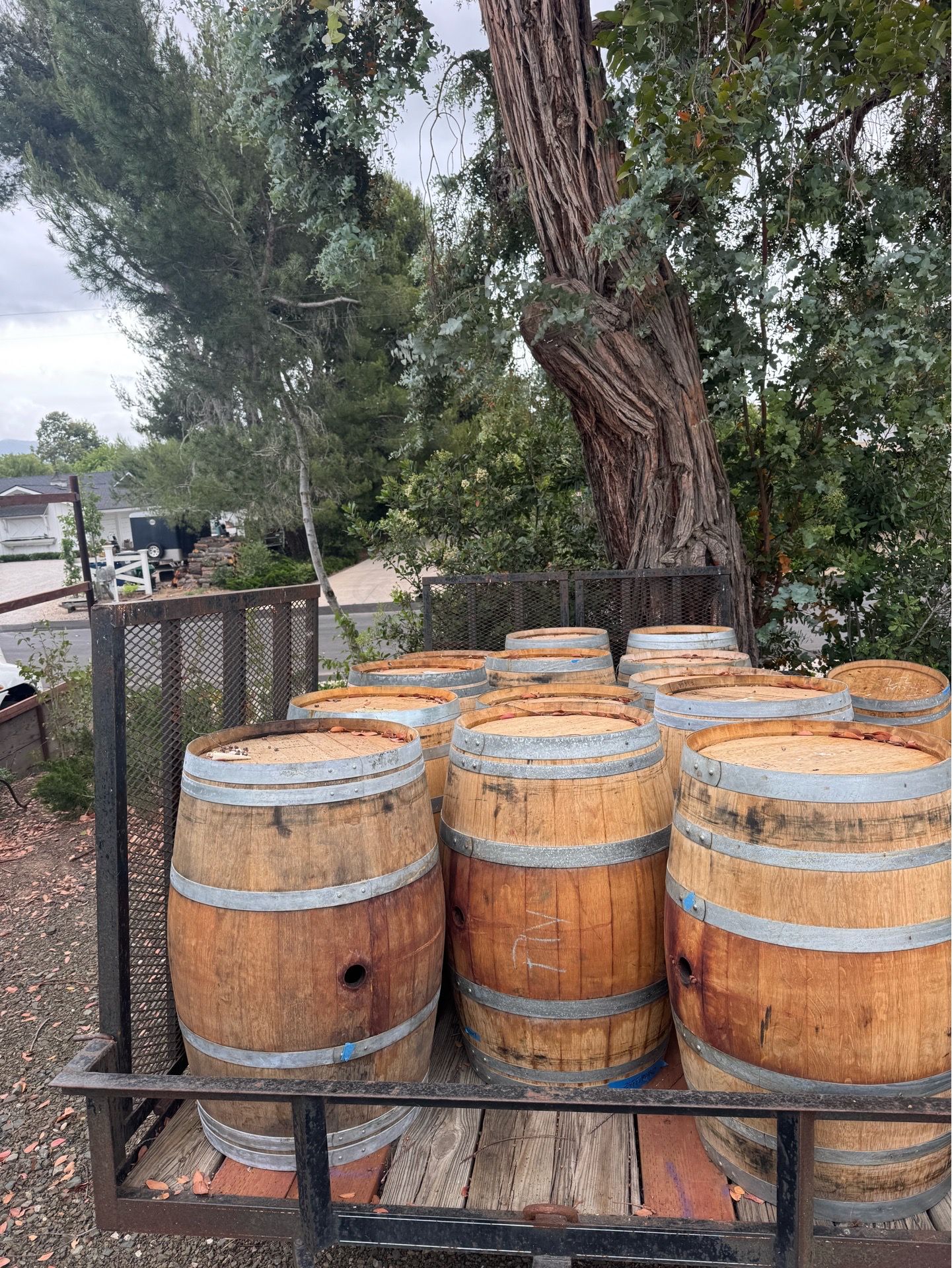 Wine barrels - 70 gal - great shape