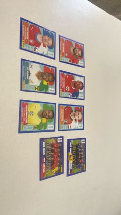 Panini blue boarder stickers