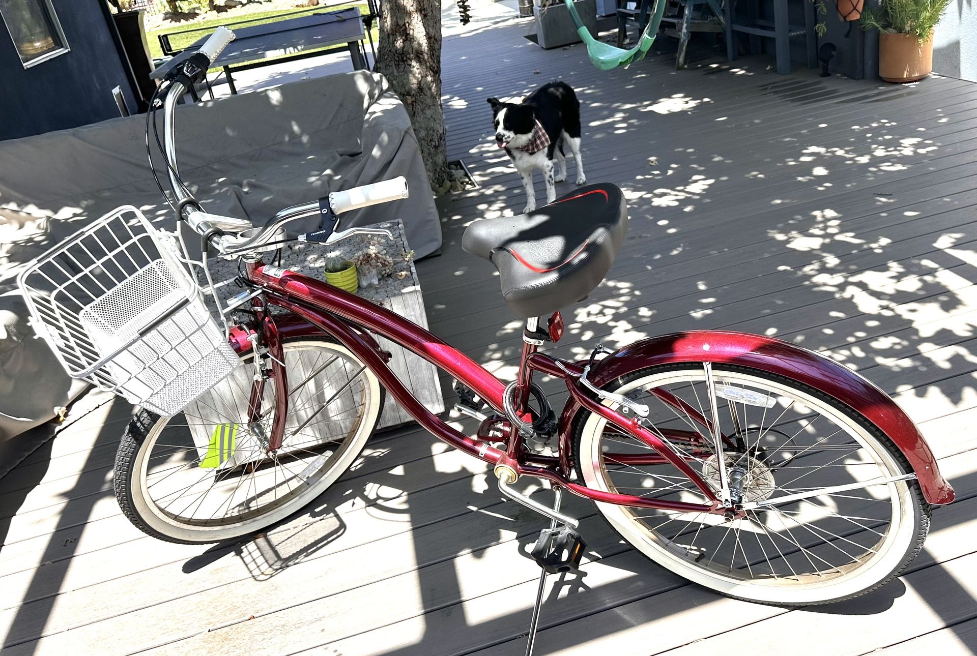 Beach cruiser (Firmstrong Bella fashionista)