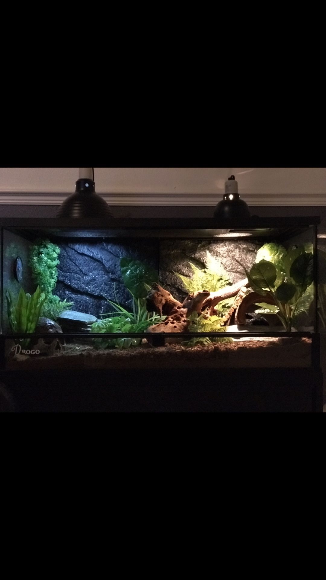 36x18x18 Thrive Front Opening Savannah Monitor Enclosure/ Terrarium